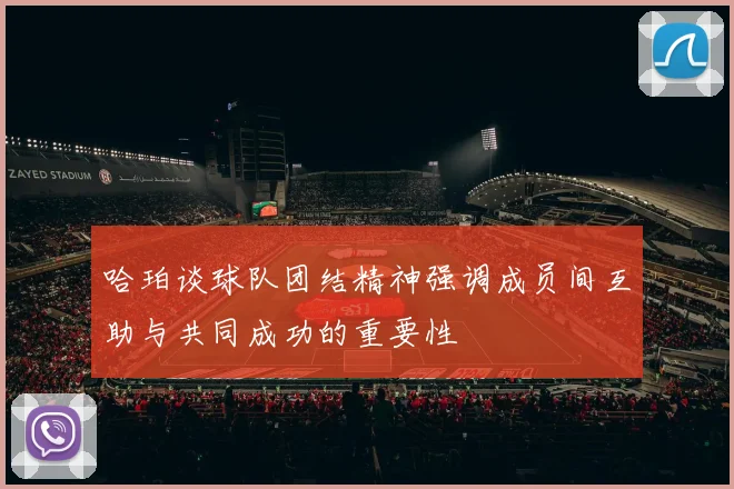 哈珀谈球队团结精神强调成员间互助与共同成功的重要性